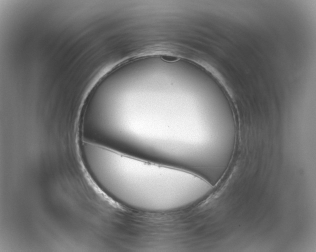 X0000065240949200602170951