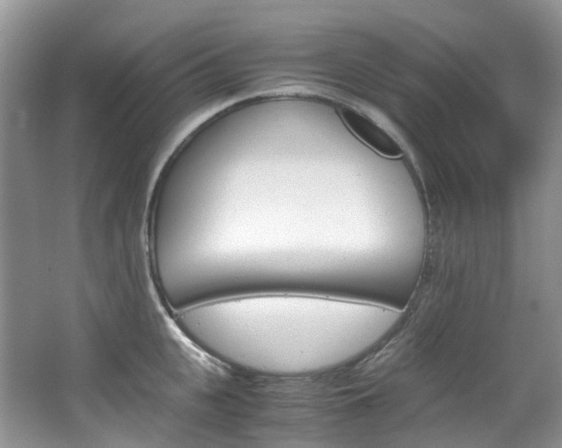 X0000065240951200602170951