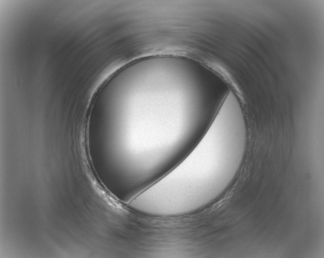 X0000065240952200602170951