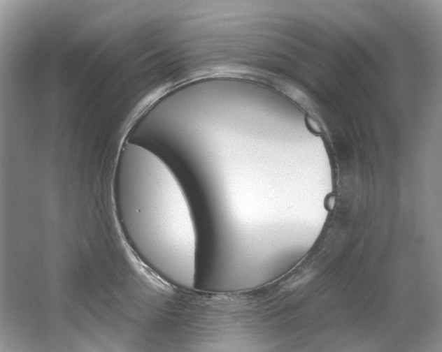 X0000065240954200602170951