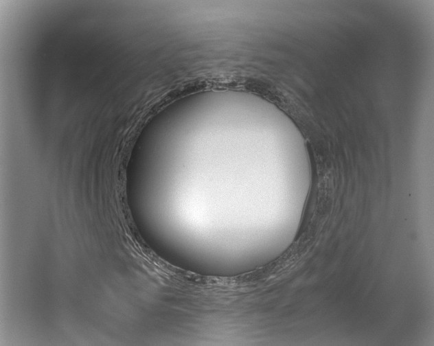 X0000065240961200602170950