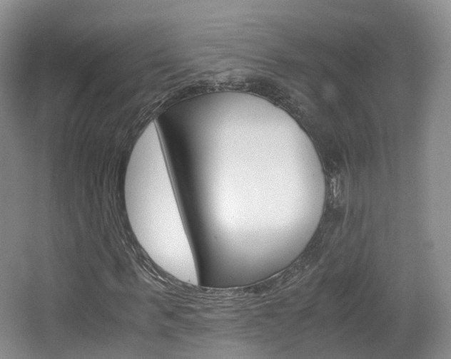 X0000065240963200602170950