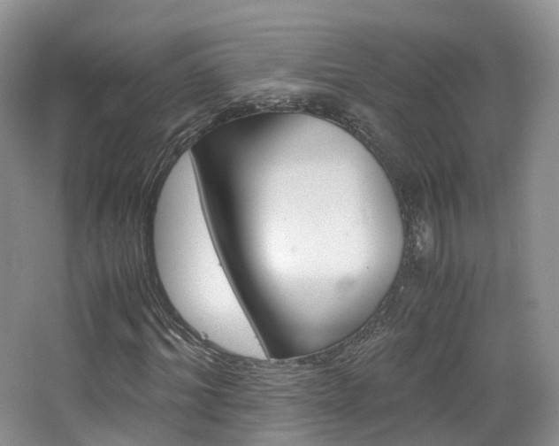 X0000065240964200602170950