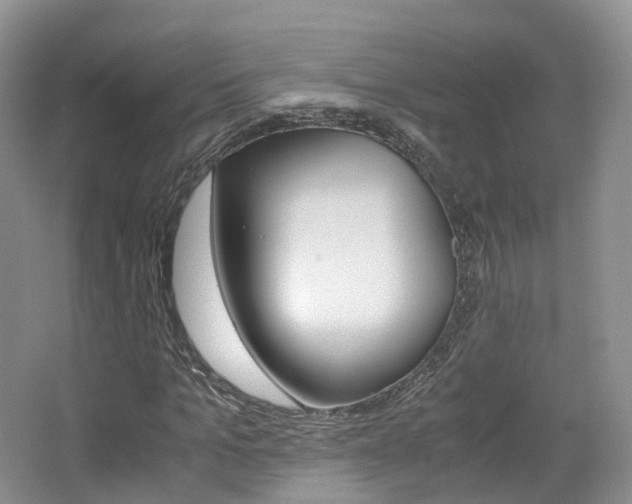 X0000065240965200602170950