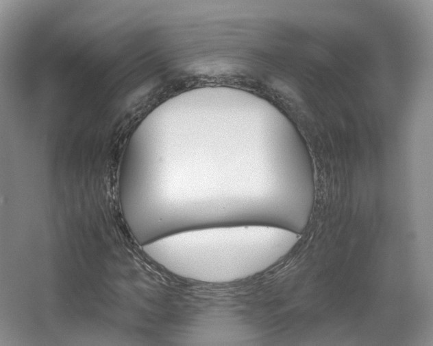X0000065240966200602170950