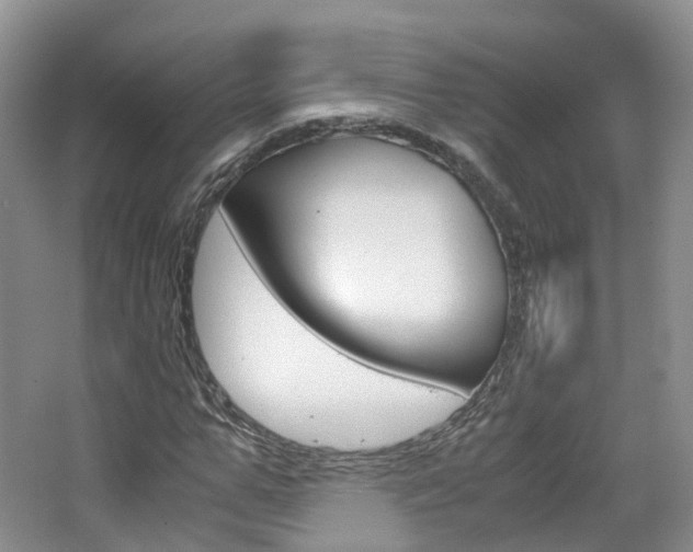 X0000065240967200602170950
