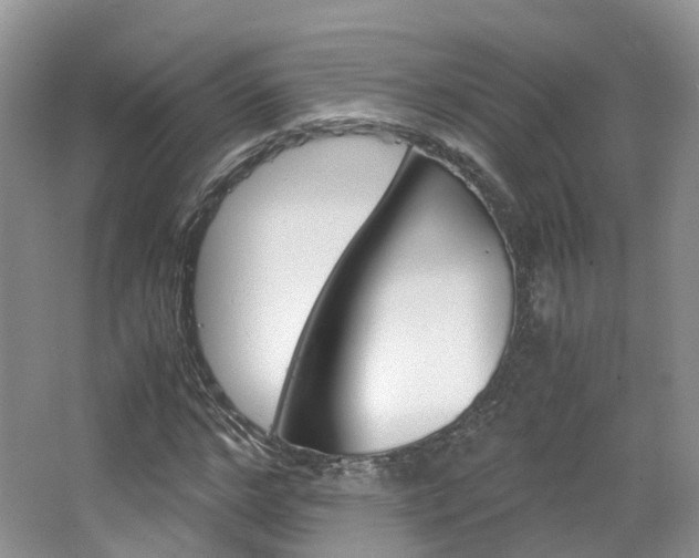 X0000065240968200602170950