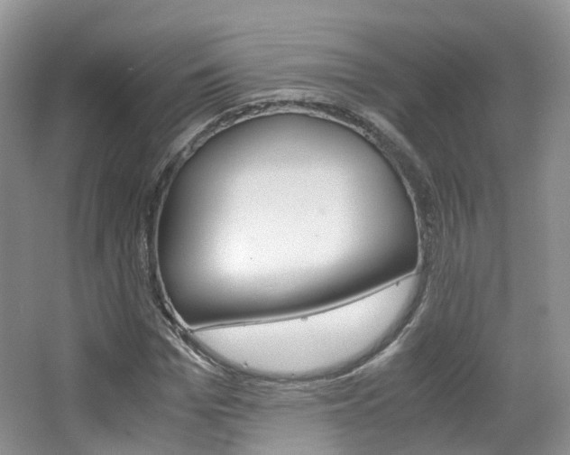 X0000065240969200602170950