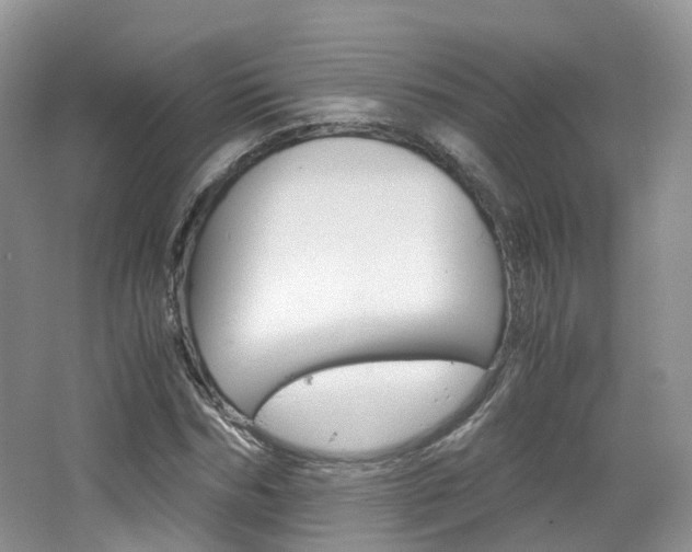 X0000065240970200602170950