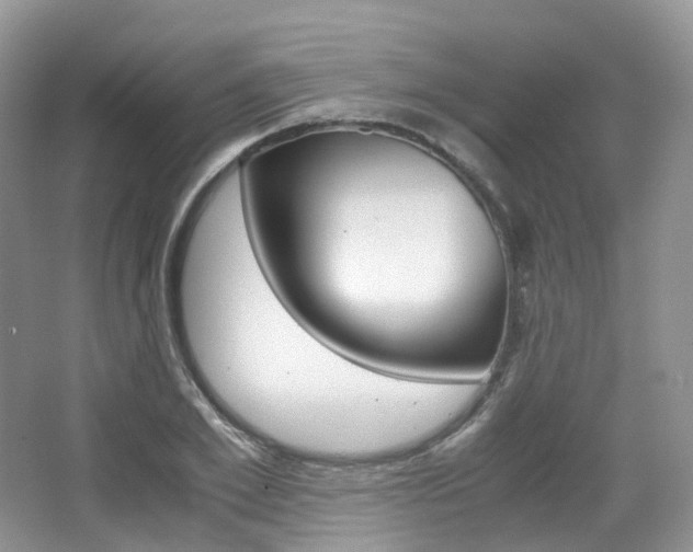 X0000065240981200602170950