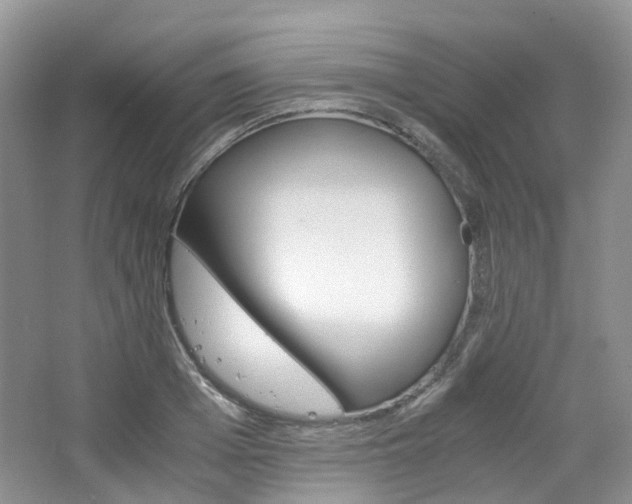 X0000065240985200602170950