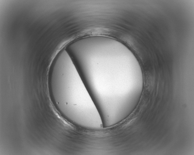 X0000065240986200602170950