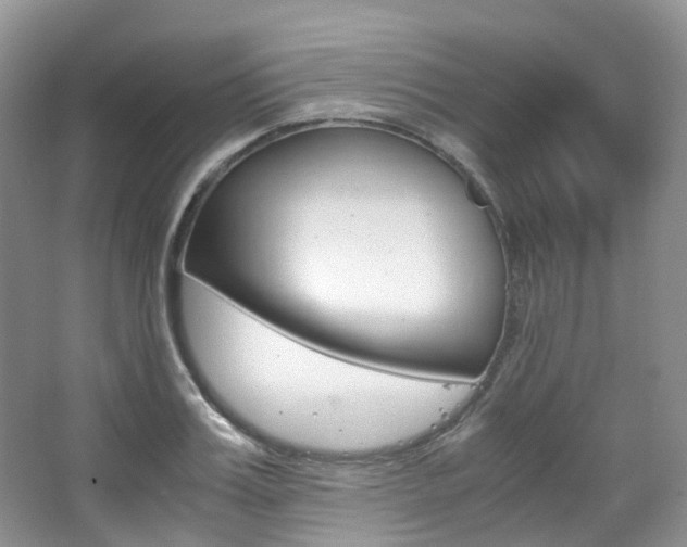 X0000065240987200602170950