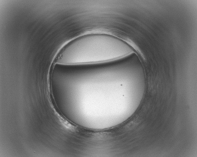 X0000065240988200602170950