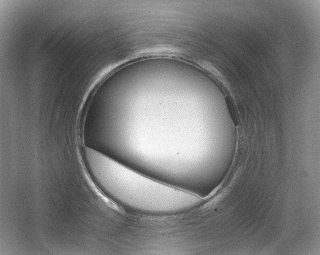 X0000065240989200602170950