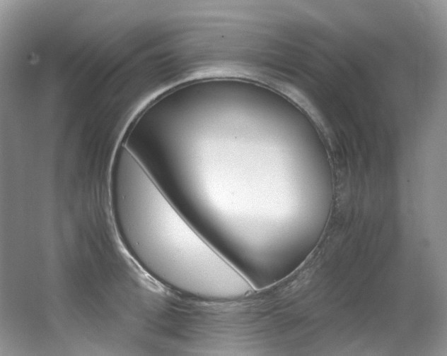 X0000065240996200602170950