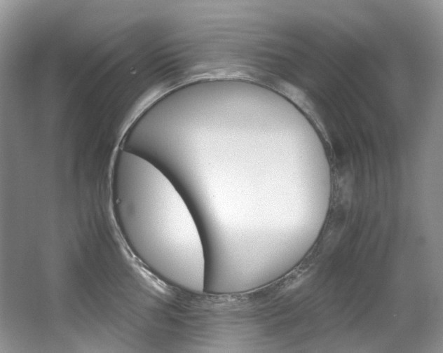X0000065241002200602170949