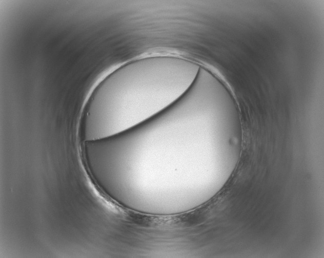 X0000065241003200602170949