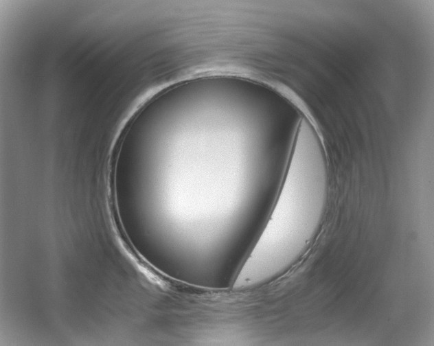 X0000065241005200602170949