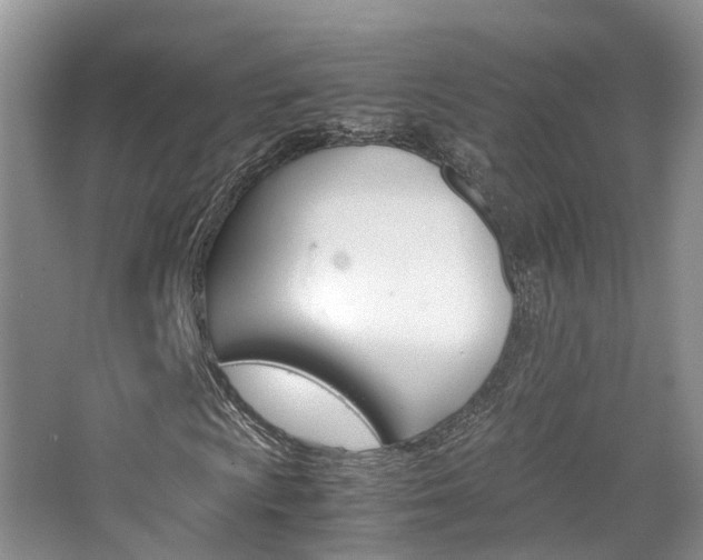 X0000065241009200602170948