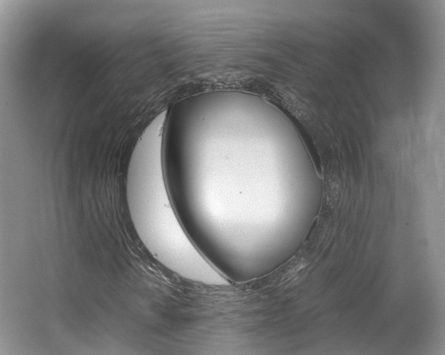X0000065241010200602170949