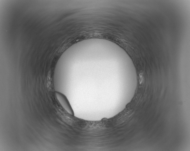 X0000065241011200602170949