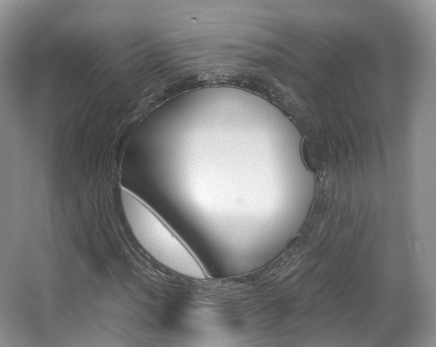 X0000065241012200602170949