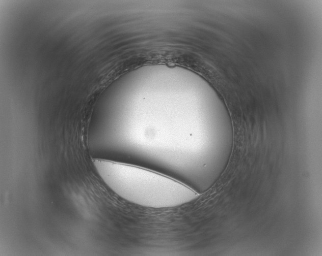 X0000065241013200602170949