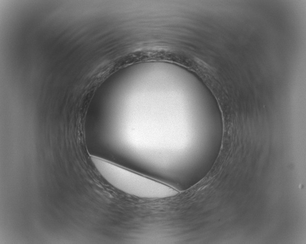 X0000065241014200602170949