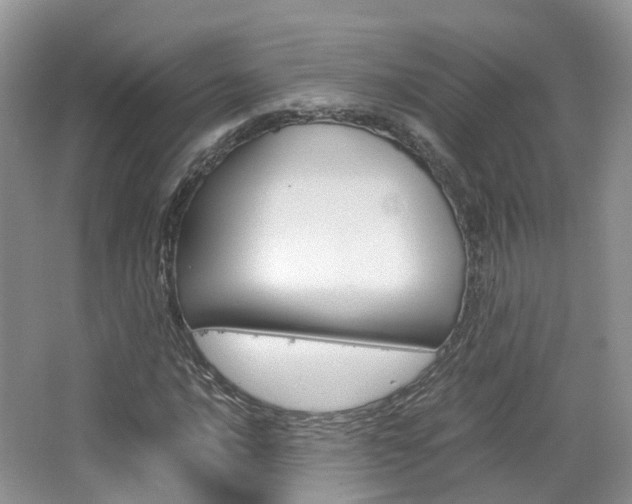 X0000065241016200602170949