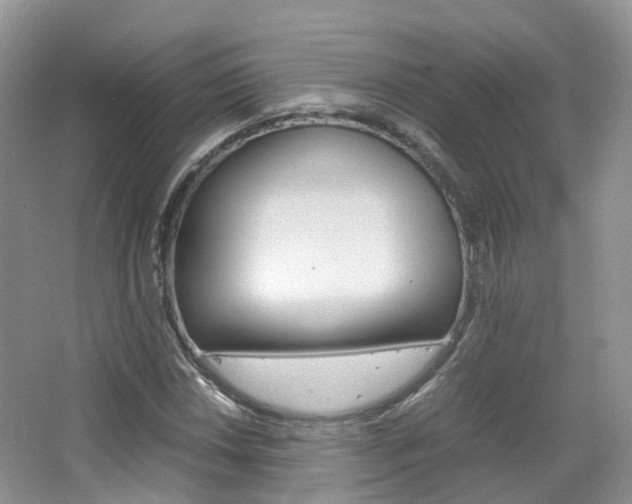 X0000065241018200602170949