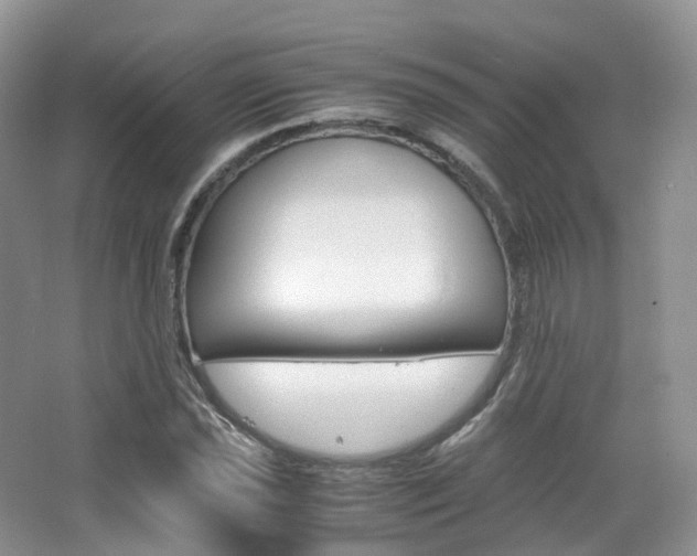 X0000065241021200602170949