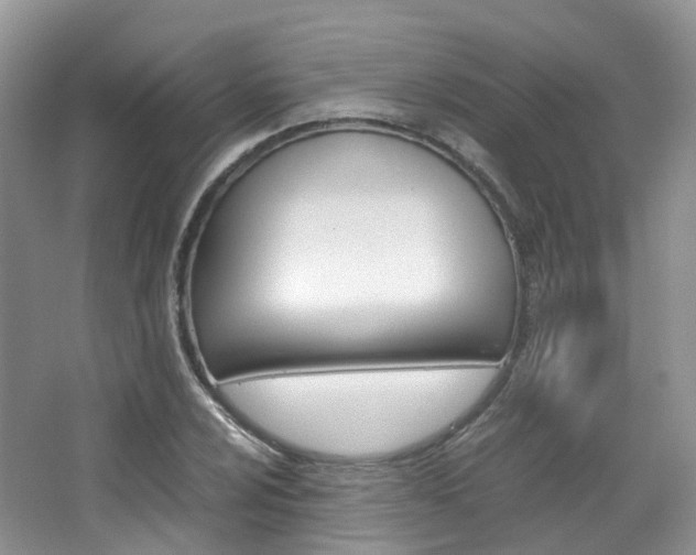 X0000065241024200602170949