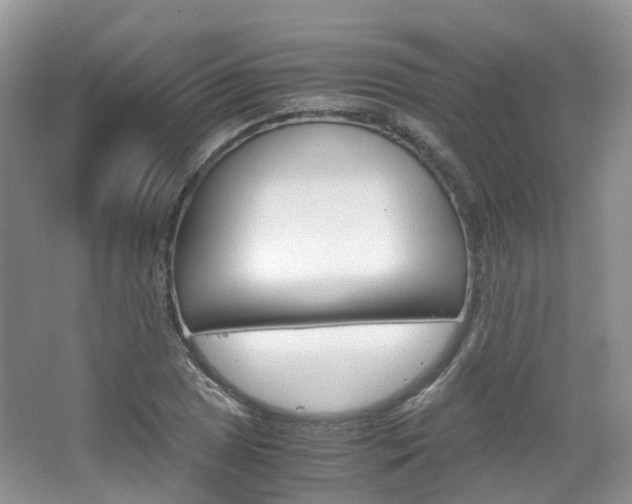 X0000065241025200602170949