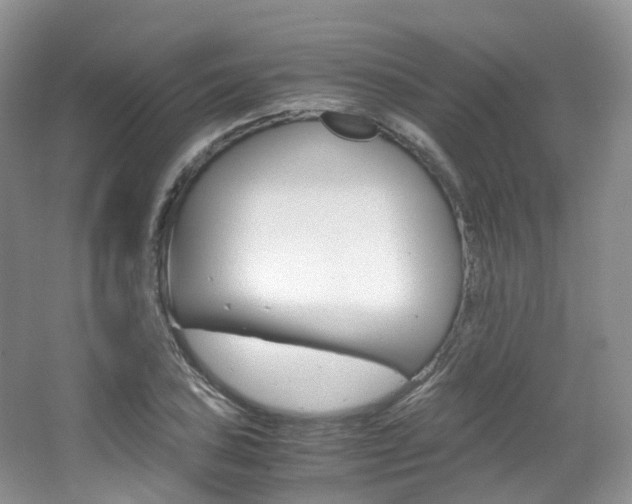 X0000065241027200602170949