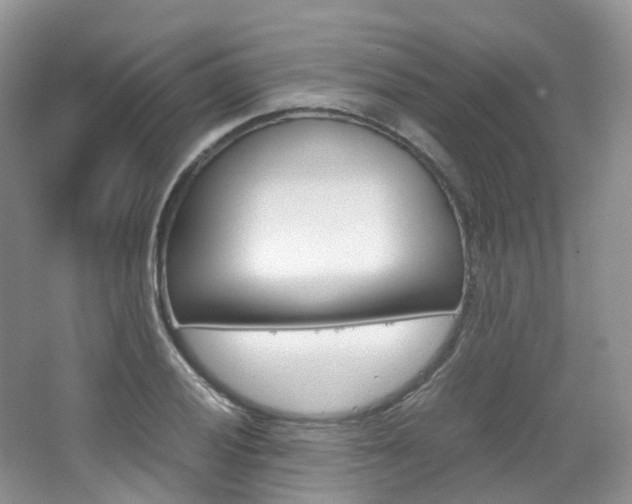 X0000065241028200602170949