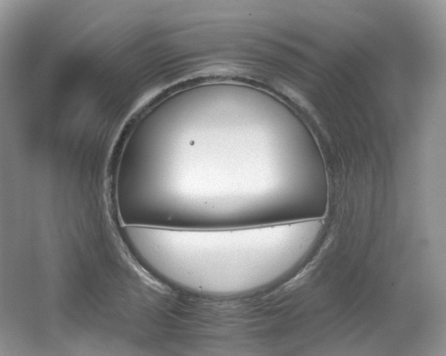X0000065241029200602170949