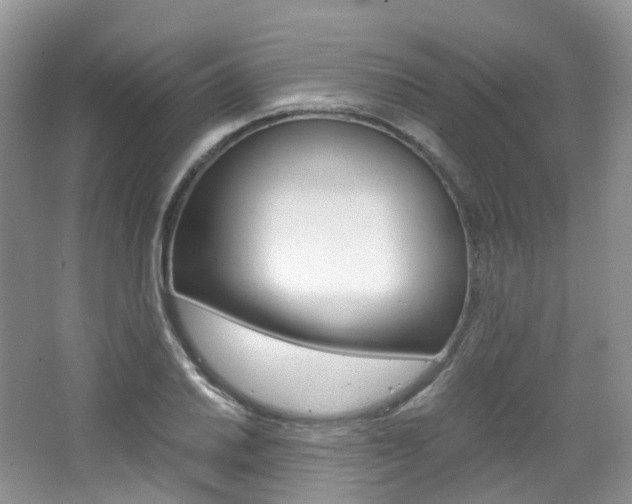X0000065241030200602170949