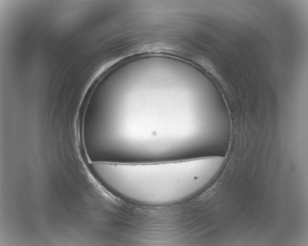 X0000065241032200602170949