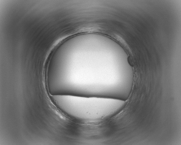 X0000065241035200602170949