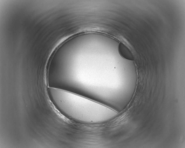 X0000065241036200602170949