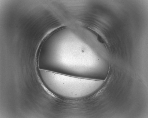 X0000065241037200602170949