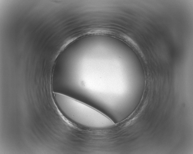 X0000065241041200602170949