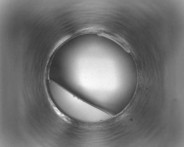 X0000065241042200602170949