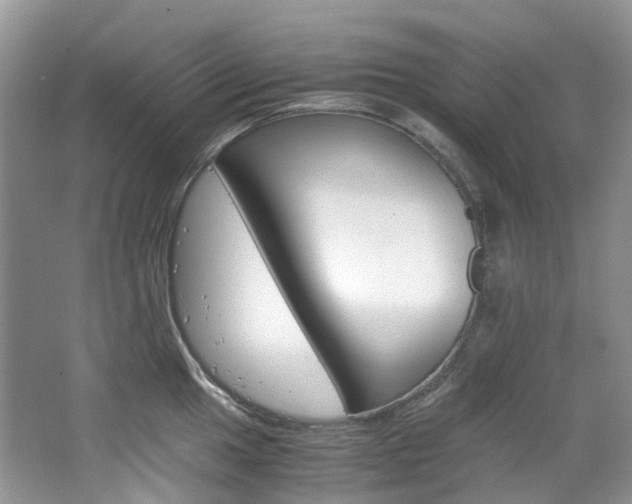 X0000065241049200602170949