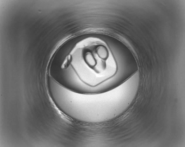 X0000065241050200602170949