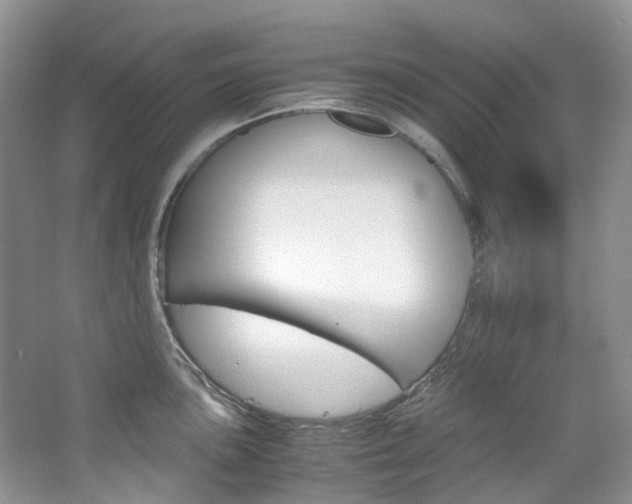 X0000065241051200602170949