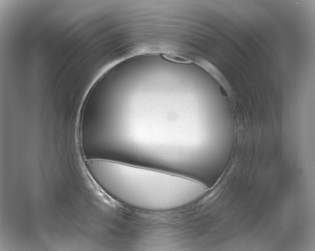 X0000065241052200602170949