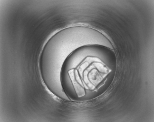 X0000065241054200602170949