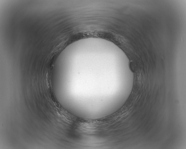 X0000065241060200602170948